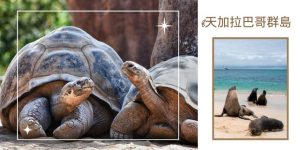 8天加拉巴哥群島